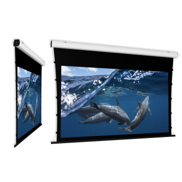 250x156cm formato 16:10 Schermo motorizzato Ellipse Tensioned