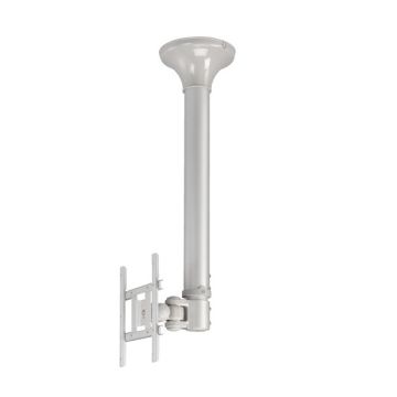 Staffa TV da soffitto Newstar FPMA-C200