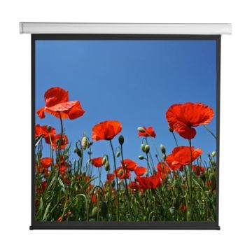 Schermo di Proiezione Motorizzato 112 200x200